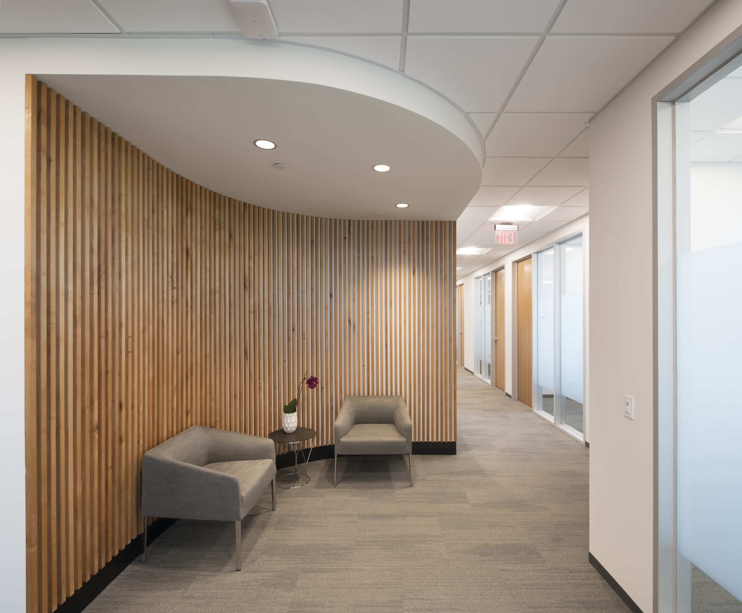 americanconst-0019_lg americanconst-0019_lg